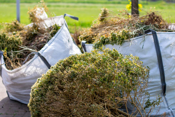 Best Estate Cleanout Services  in Adel, IA